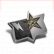 Bronzestern