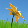 Erfolge zu Flower