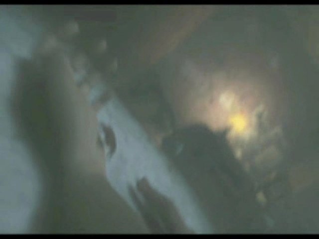Trailer 1
