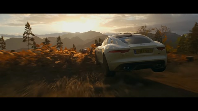 Official Commercial